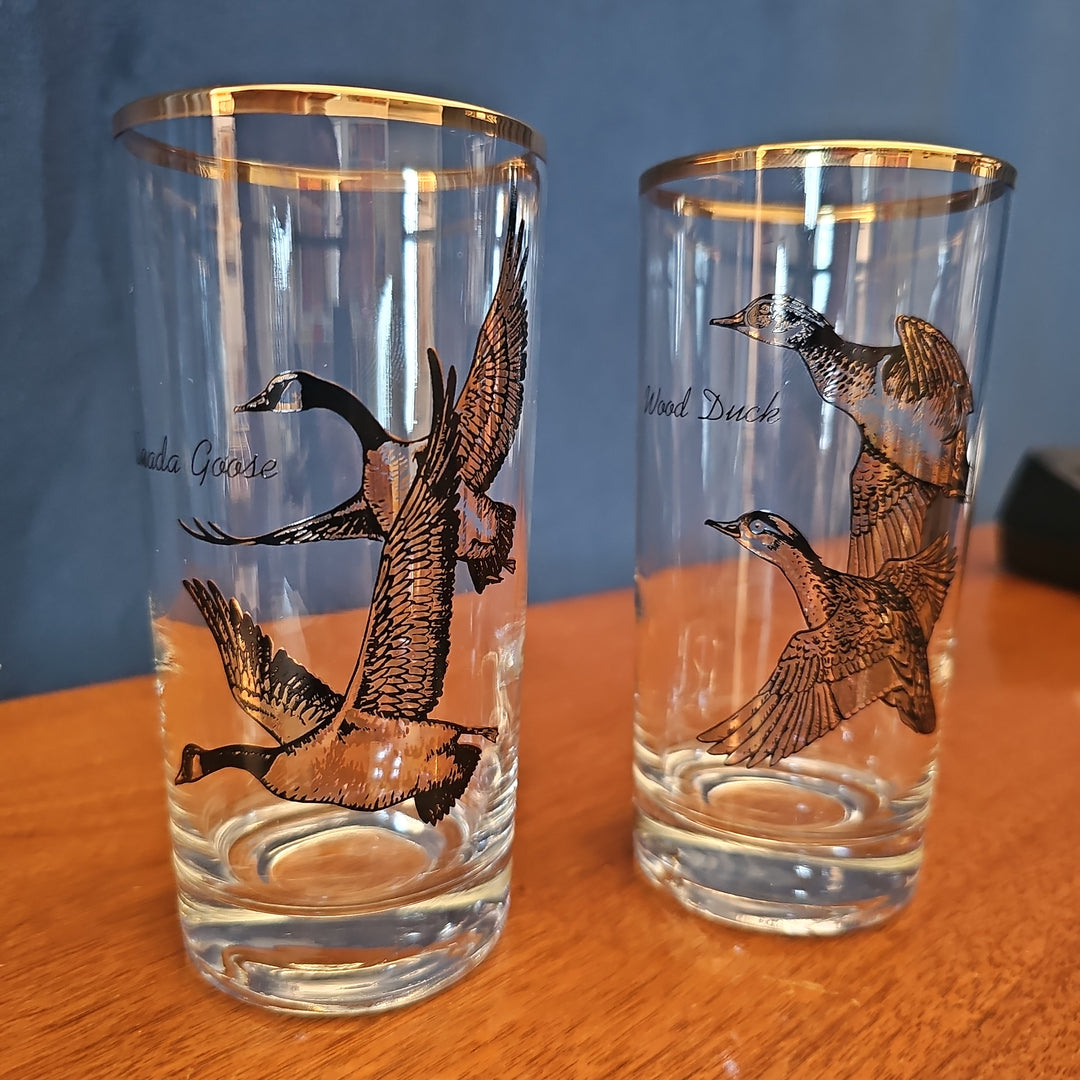 Set of 8 Galaxy Highball Glasses