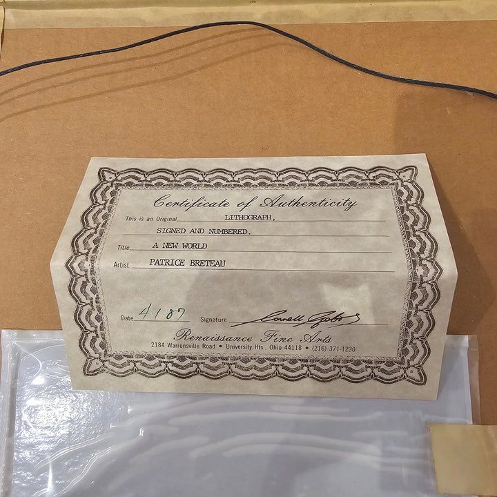 'A New World' by Patrice Breteau